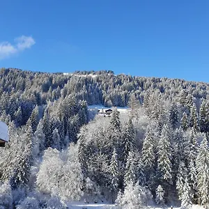 Les 3 Cols Morzine, 2 Pieces, 2 Personnes Morzine